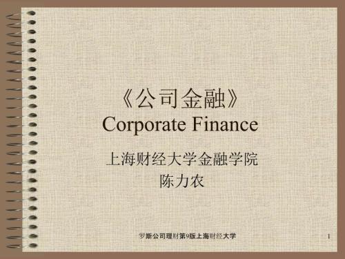 罗斯公司理财第9版上海财经大学课件.ppt