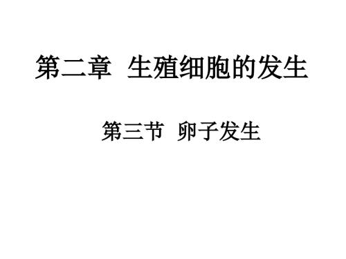 第二章卵子发生课件.ppt