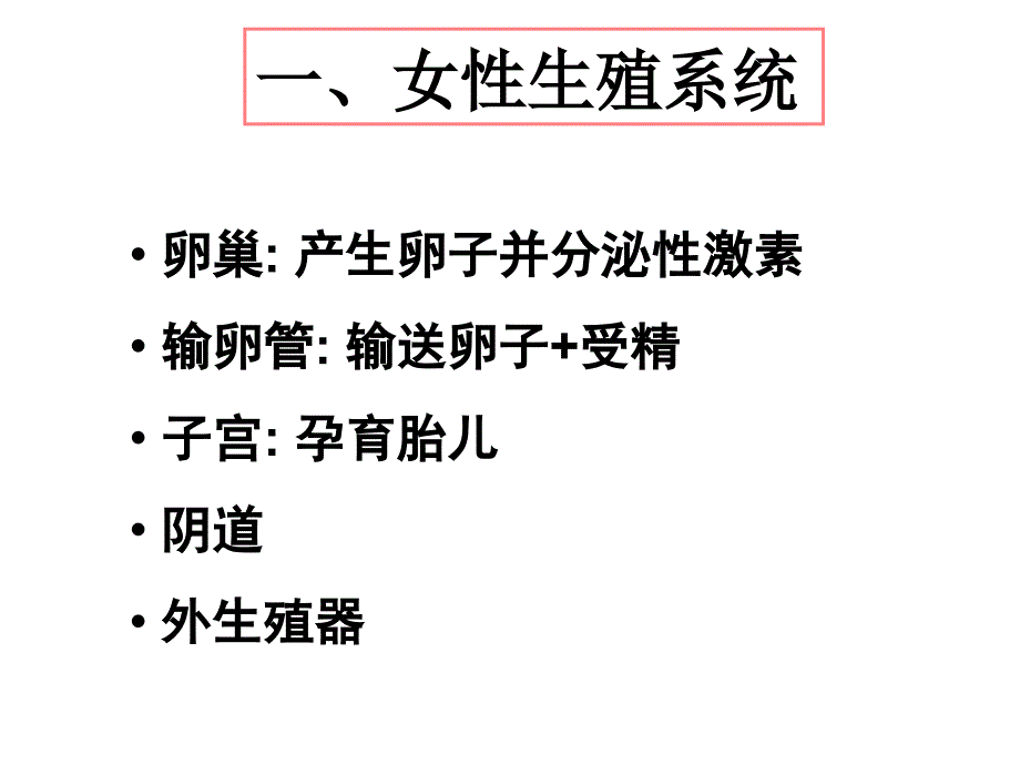 第二章卵子发生课件.ppt_第2页