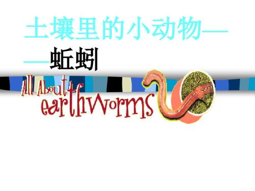 蚯蚓PPT课件.ppt