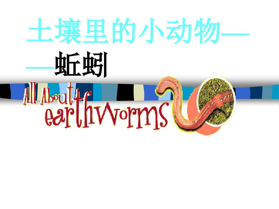 蚯蚓PPT课件.ppt_第1页
