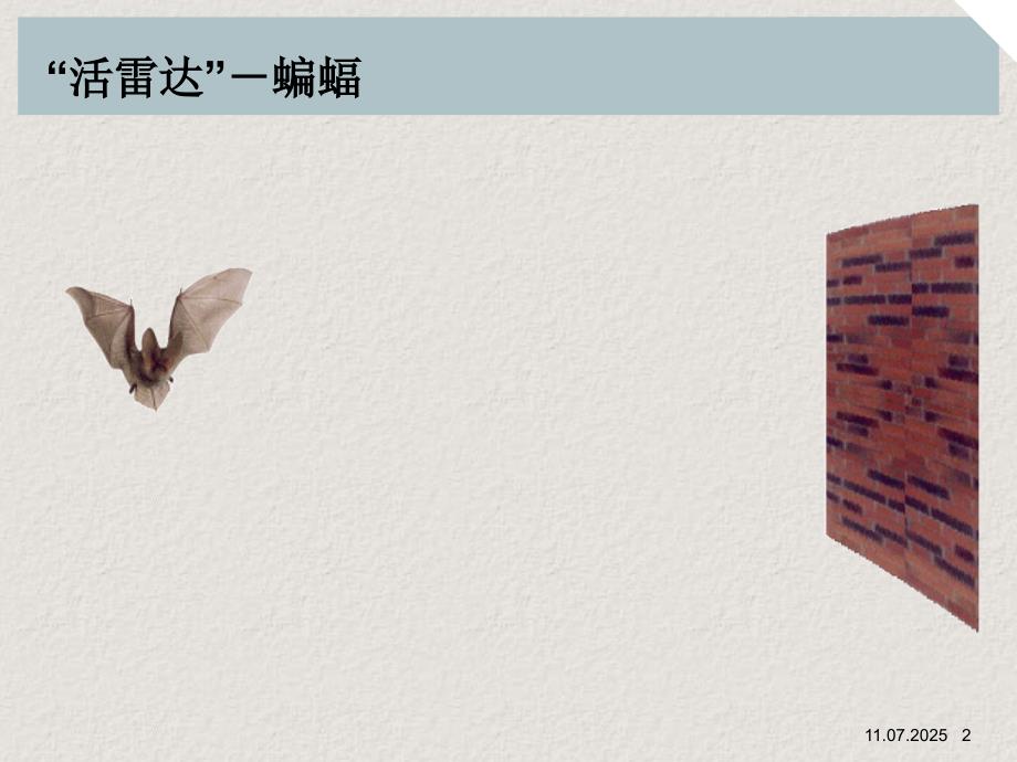 雷达介绍.ppt.ppt_第2页