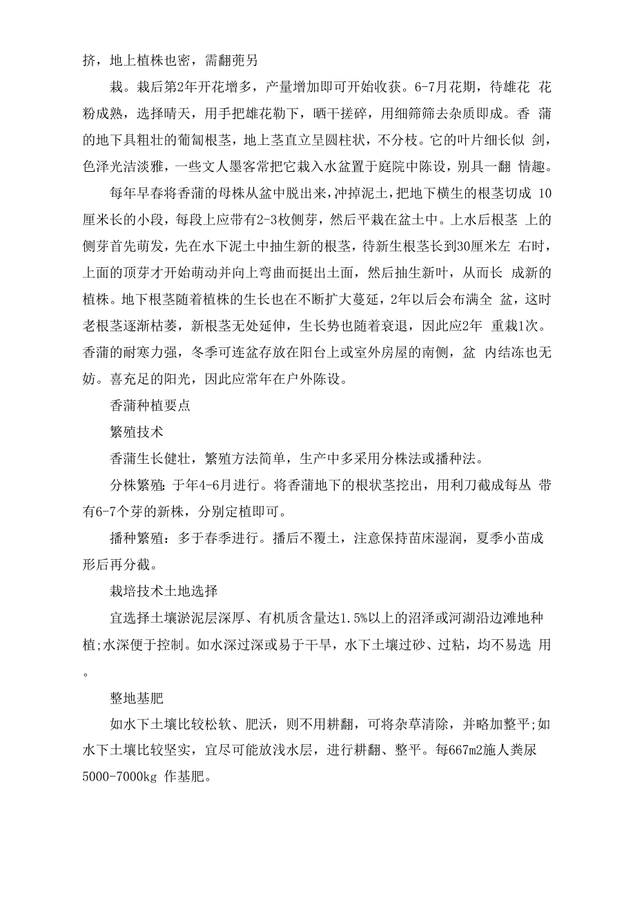 香蒲种植方法.docx_第2页
