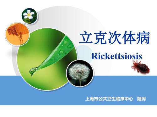 立克次体病.ppt