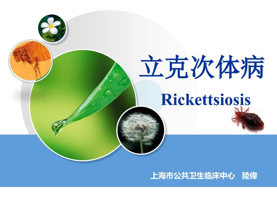 立克次体病.ppt_第1页