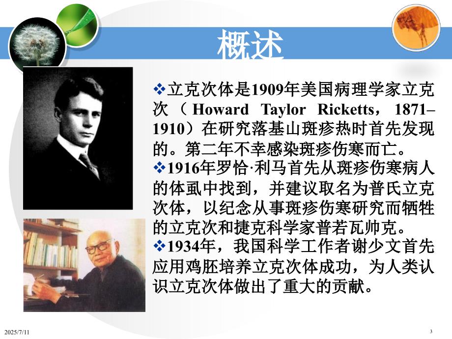 立克次体病.ppt_第3页