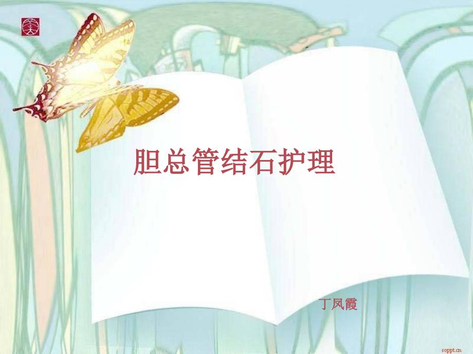 胆总管结石ppt课件.ppt_第1页