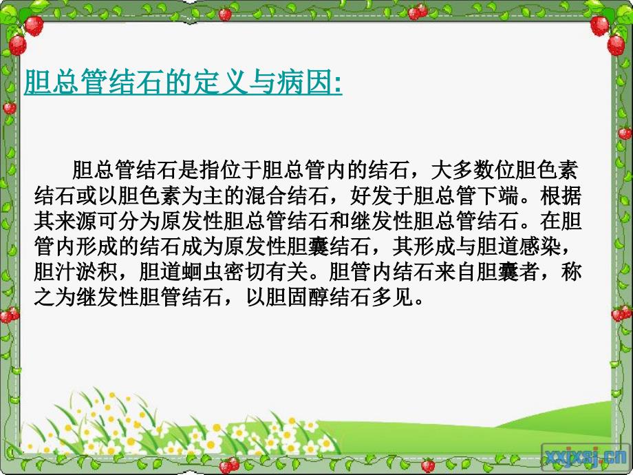 胆总管结石ppt课件.ppt_第3页