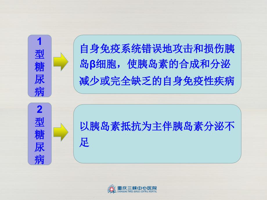 糖尿病自身抗体临床意义ppt课件.ppt_第3页