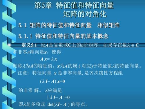 线性代数居余马第5章特征值与特征向量.ppt