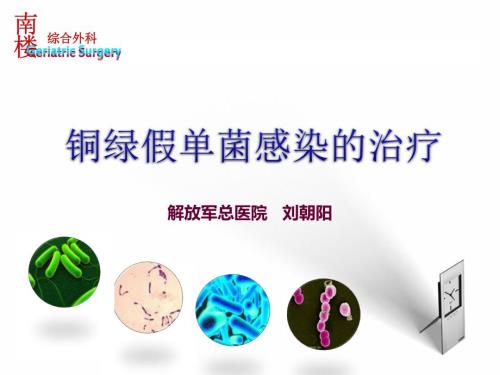 铜绿假单胞菌感染治疗刘朝阳.ppt