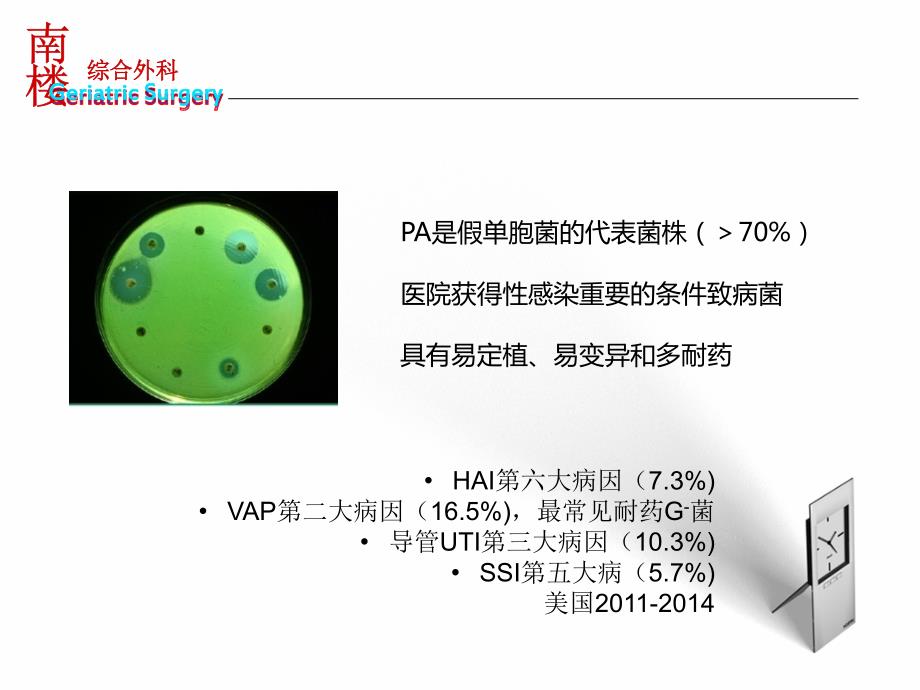 铜绿假单胞菌感染治疗刘朝阳.ppt_第3页