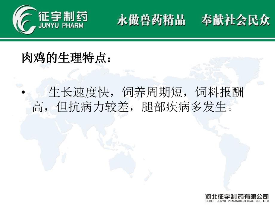 肉鸡的饲养管理PPT课件.ppt_第3页