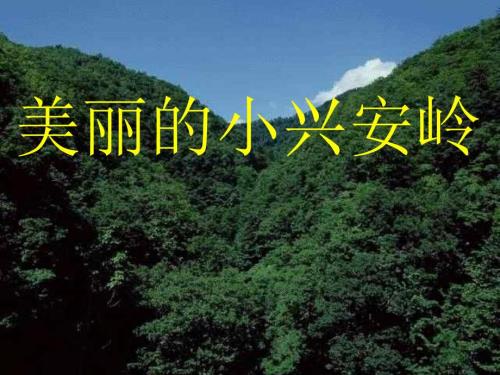 美丽的小兴安岭PPT马红梅.ppt