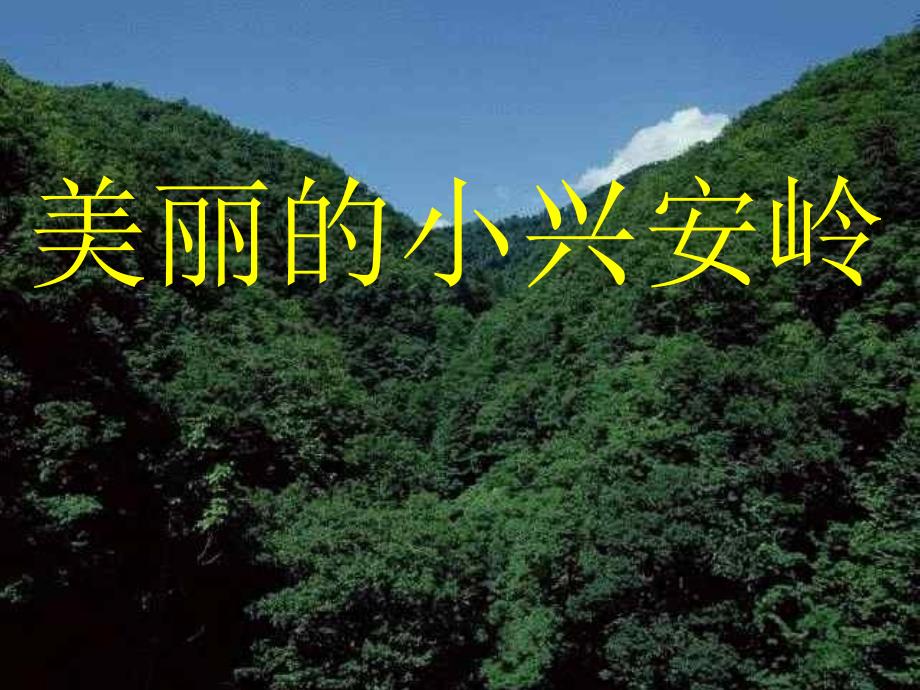 美丽的小兴安岭PPT马红梅.ppt_第1页