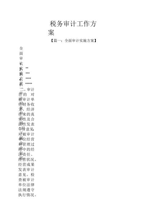 税务审计工作方案.docx