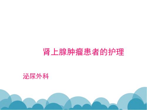 肾上腺肿瘤患者的护理查房课件.ppt