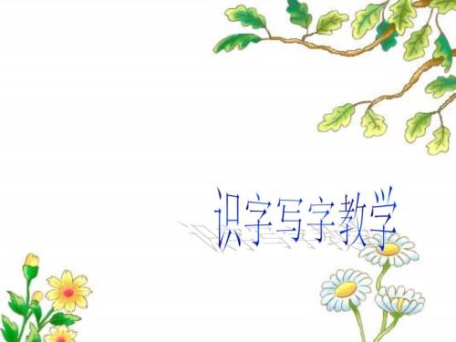 识字与写字教学课件.ppt
