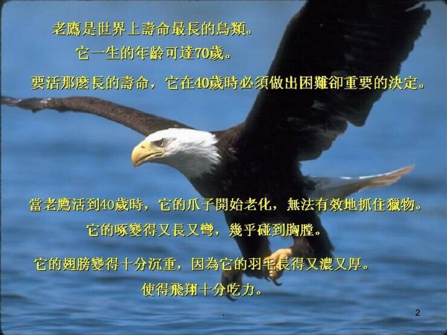 青岛啤酒销售管理模式和运营模式课件PPT.ppt_第2页