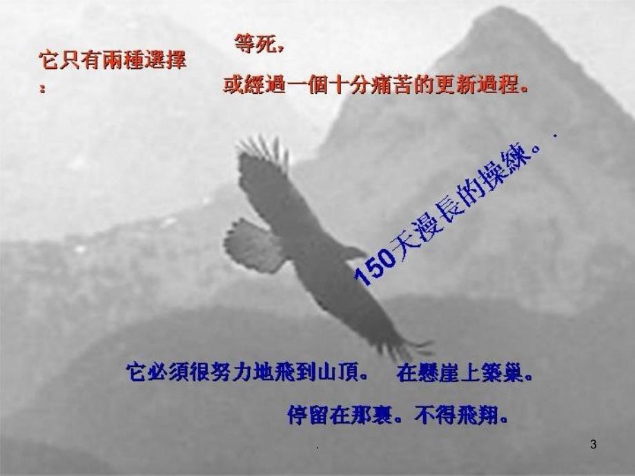青岛啤酒销售管理模式和运营模式课件PPT.ppt_第3页
