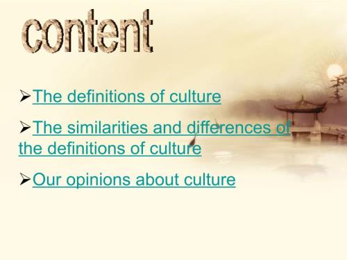跨文化thedefinitionofculture.ppt