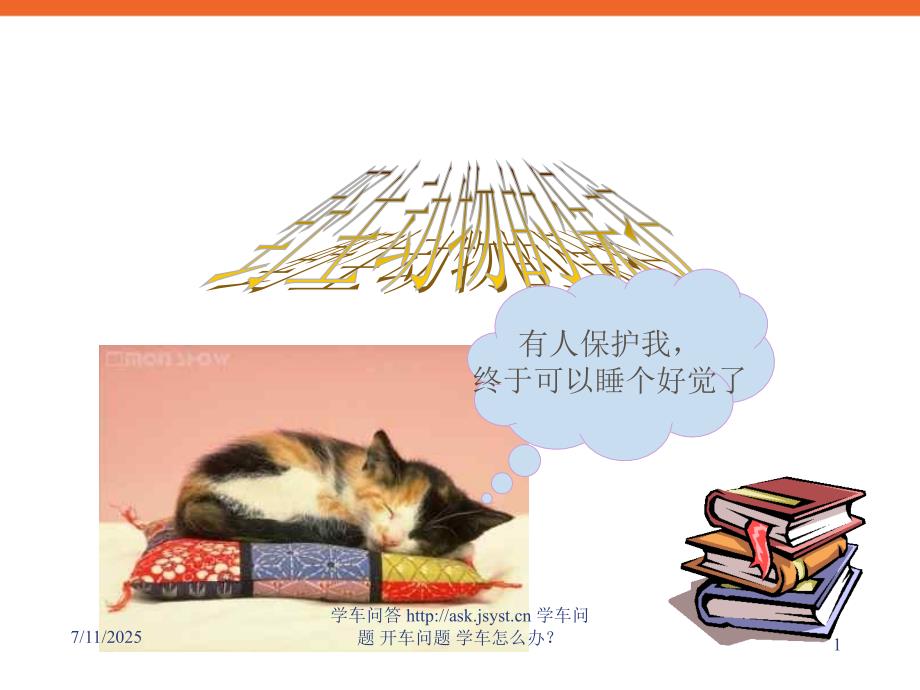 青少年学生环保主题班会野生动物的保护PPT课件.ppt_第1页