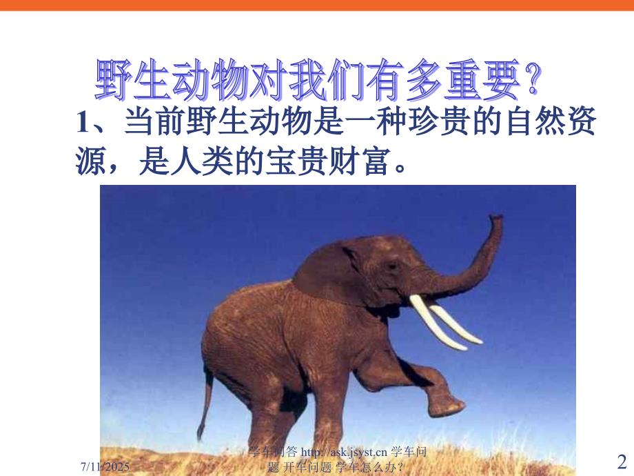 青少年学生环保主题班会野生动物的保护PPT课件.ppt_第2页