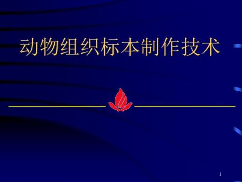 重要动物组织切片制作技术.ppt
