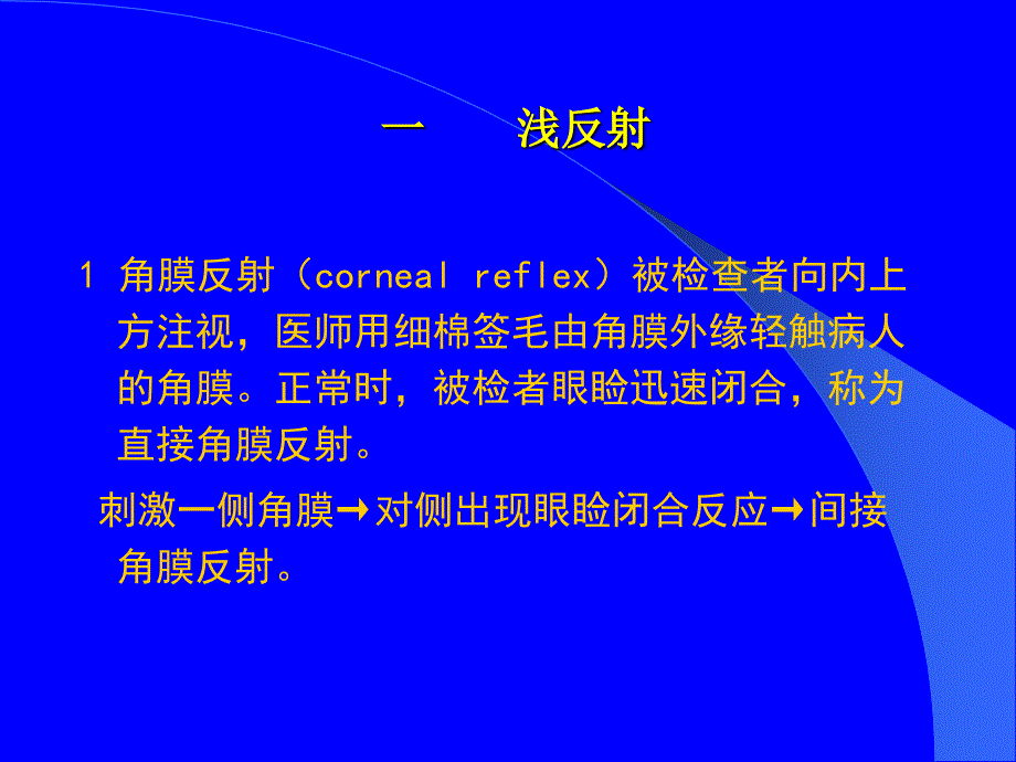 神经反射检查PPT课件.ppt_第3页
