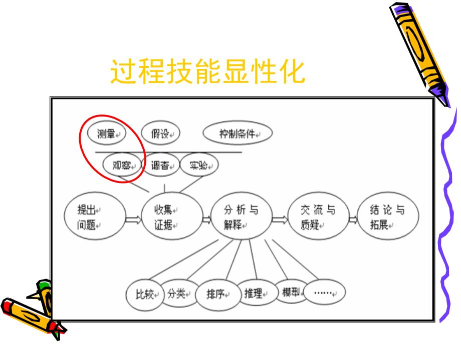 苏教版小学科学教材分析三年级下册.ppt_第3页