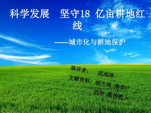 科学发展坚守18亿亩耕地红线城市化与耕地保护.ppt