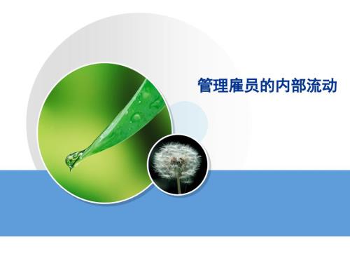 管理雇员的内部流动.ppt