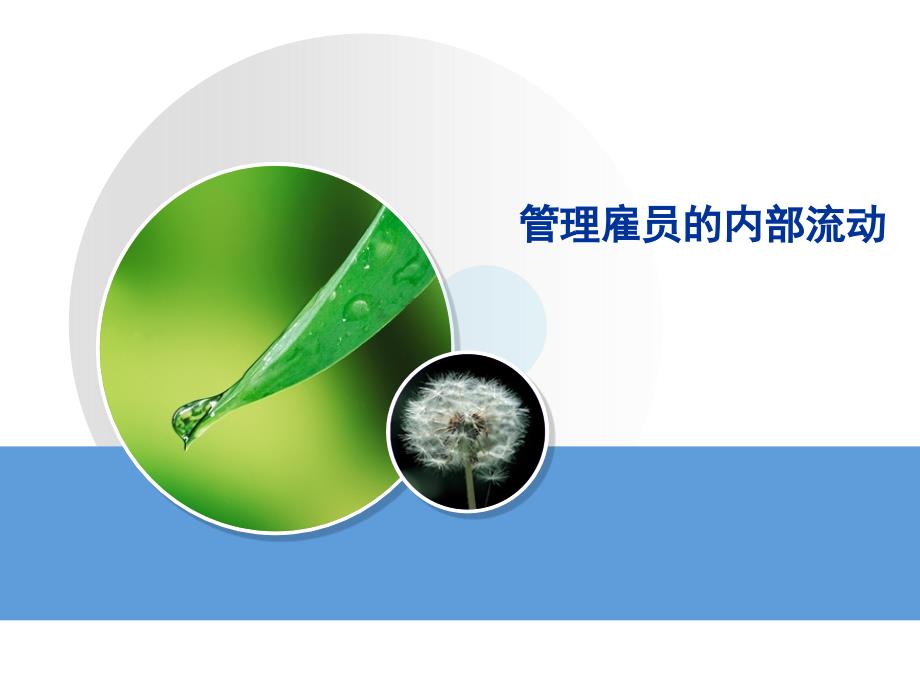 管理雇员的内部流动.ppt_第1页