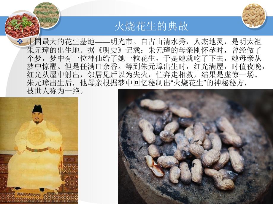 花生的播种与出苗PPT课件.ppt_第3页