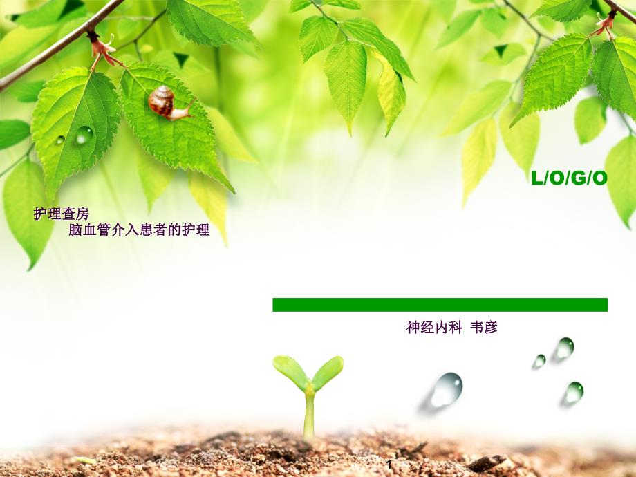 脑血管介入患者护理查房ppt课件.ppt_第1页