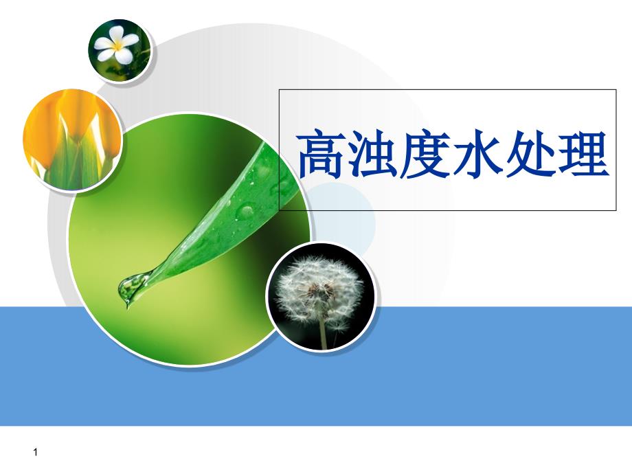 高浊度水处理ppt课件.ppt_第1页
