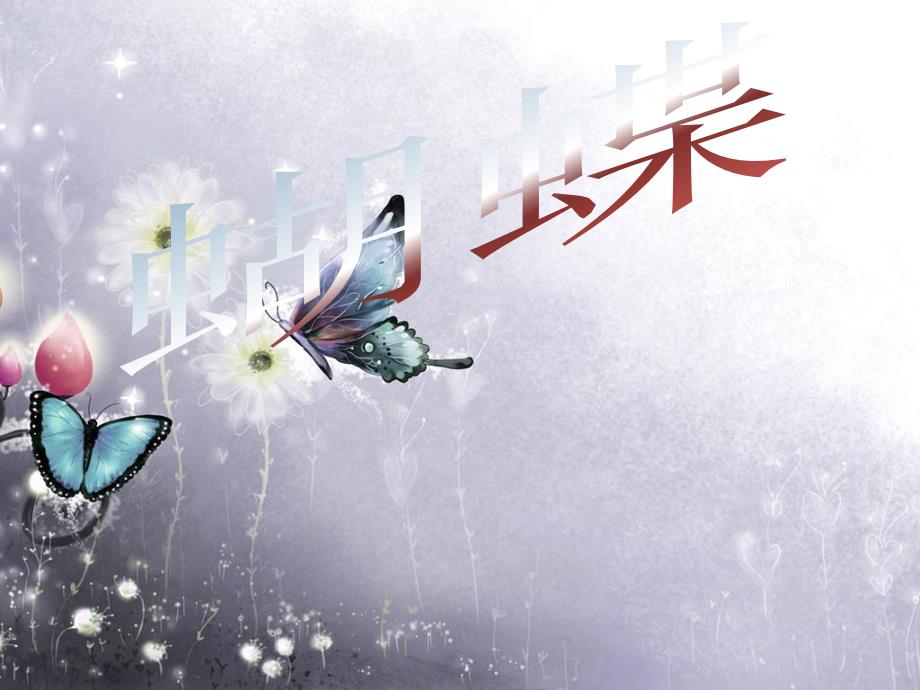 简单介绍蝴蝶的种类.ppt_第2页