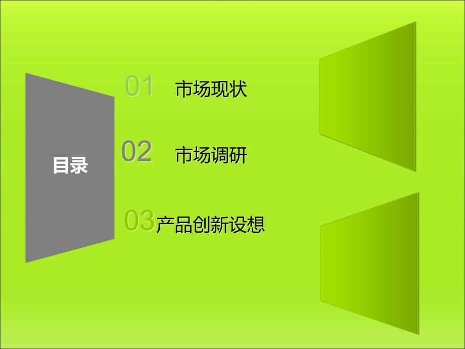 老年产品市场调查.pptx_第2页