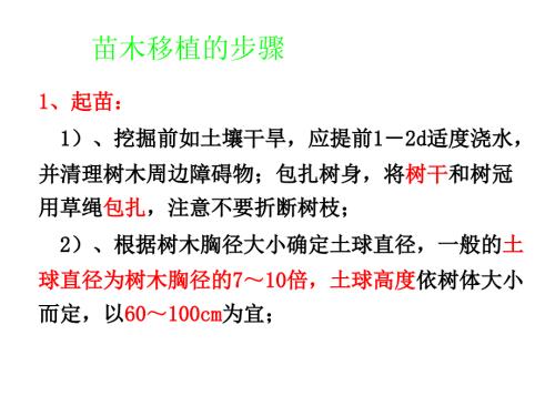 苗木移植的步骤课件.ppt