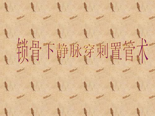 锁骨下静脉穿刺置管术课件.ppt