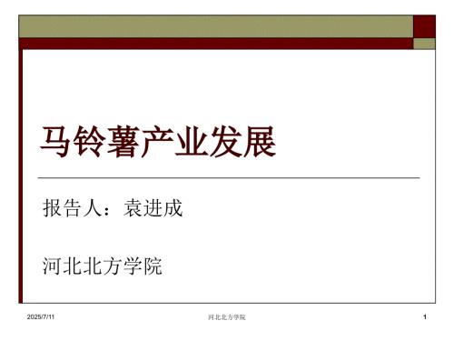 马铃薯产业化报告PPT课件.ppt