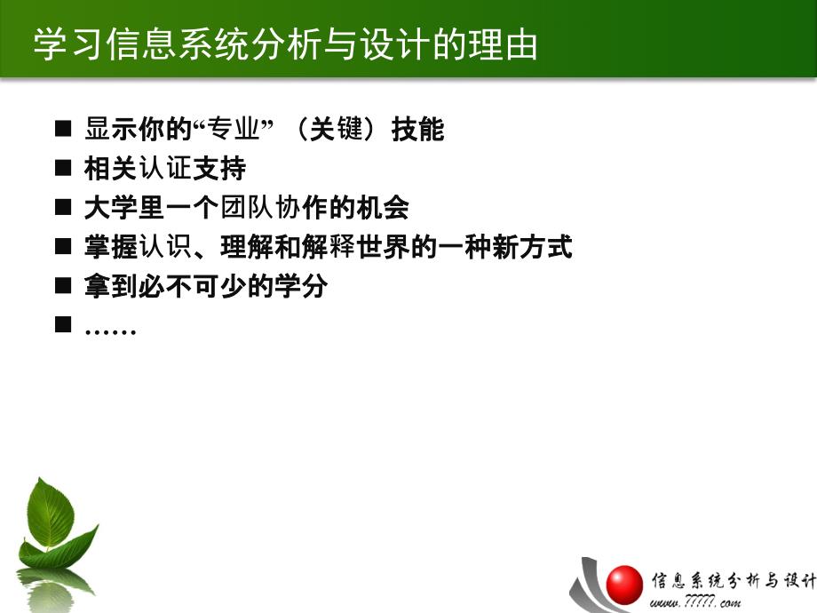 管理与信息系统PPT课件.ppt_第3页