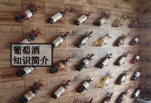 红酒知识培训PPT课件.ppt