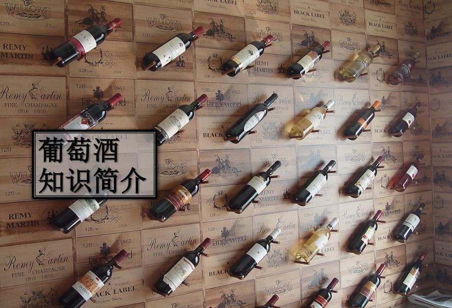 红酒知识培训PPT课件.ppt_第1页