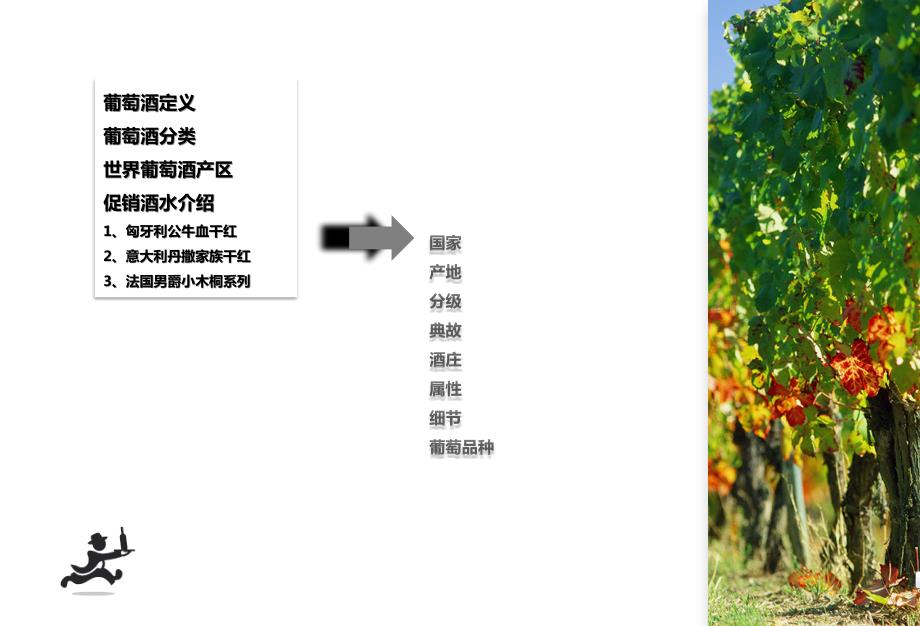 红酒知识培训PPT课件.ppt_第2页