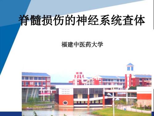 脊髓损伤的神经系统查体课件.ppt