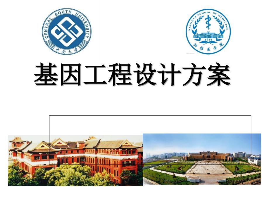第四次分生讨论课问题四整合课件.ppt_第1页