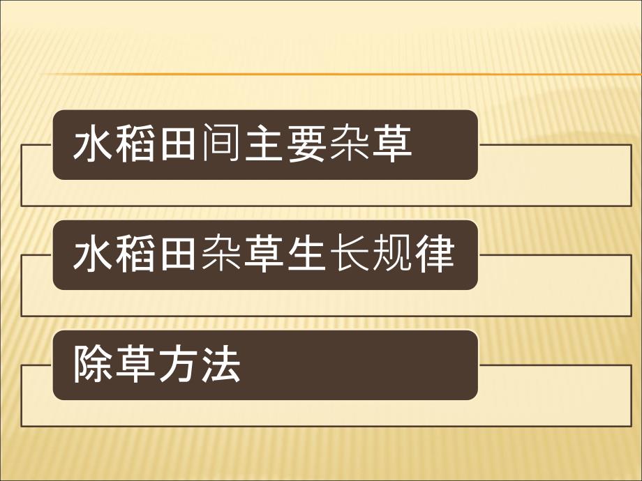 稻田的常见杂草PPT课件.ppt_第2页