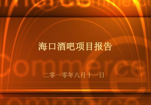 酒吧项目可行性研究报告.ppt