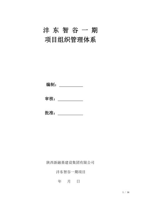项目组织管理体系.doc